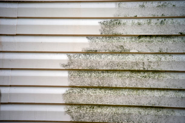 Best Stucco Siding  in Regency At Monroe, NJ