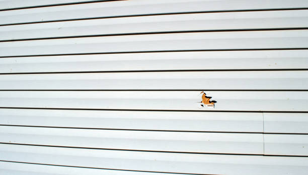 Regency At Monroe, NJ Siding Installation & Repair Company