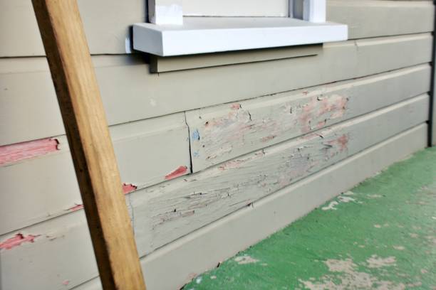 Best Custom Trim and Detailing for Siding  in Regency At Monroe, NJ